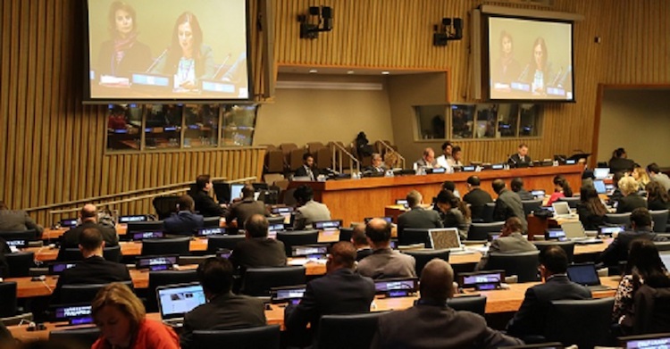Photo: Civil society at the UN General Assembly First Committee, October 2018